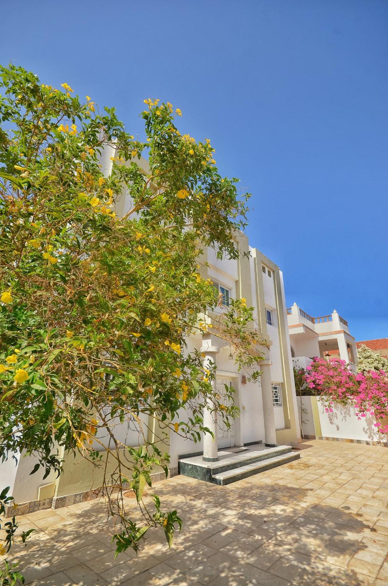 Elite Residence Dahab Eksteriør bilde