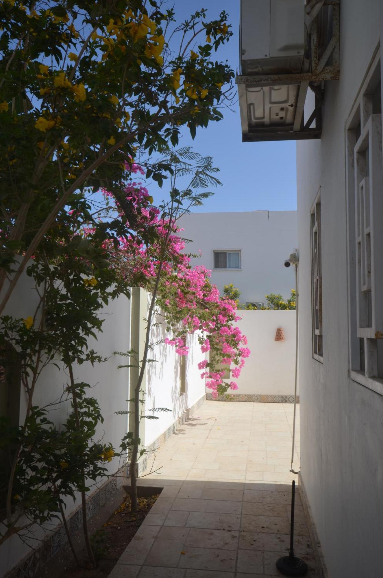 Elite Residence Dahab Eksteriør bilde